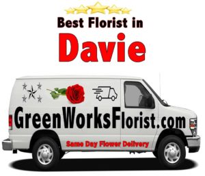 Same Day Flower Delivery in Davie