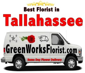 Same Day Flower Delivery in Tallahassee