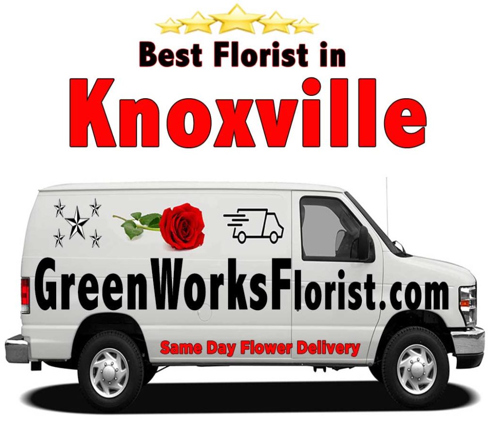 same day flower delivery in Knoxville